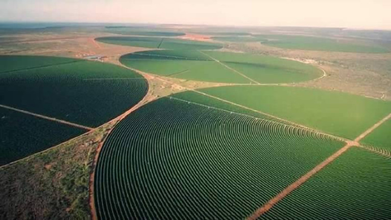 Imagem Chácara à Venda, em Zona Rural - Buritizeiro Imagem Chácara à Venda, em Zona Rural - Buritizeiro
