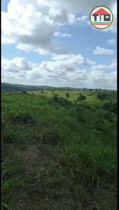 Imagem Fazenda à Venda, 4.259.200 m² em Zona Rural - Goianésia Do Pará Imagem Fazenda à Venda, 4.259.200 m² em Zona Rural - Goianésia Do Pará