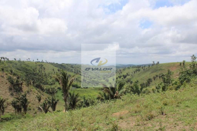 Imagem Casa com 4 Quartos à Venda, 212 m² em Maia - Bananeiras Imagem Casa com 4 Quartos à Venda, 212 m² em Maia - Bananeiras