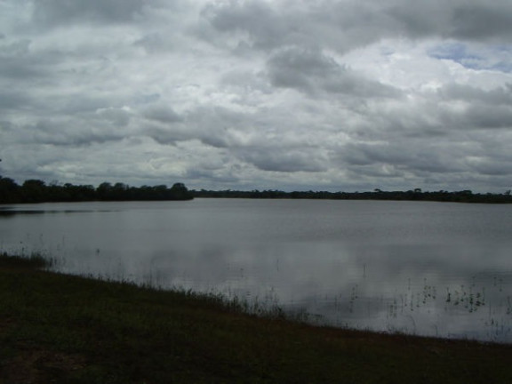 Imagem Imóvel à Venda, em Região Do Araguaia Xingu - São Félix Do Araguaia Imagem Imóvel à Venda, em Região Do Araguaia Xingu - São Félix Do Araguaia