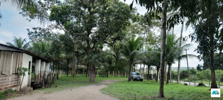 Imagem Chácara à Venda, 3.000 m² em Murici Imagem Chácara à Venda, 3.000 m² em Murici