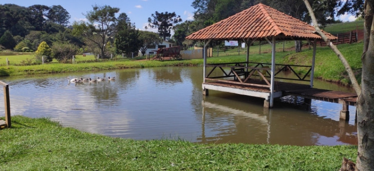 Imagem Chácara à Venda, 1.800 m² em Br 277 - Cascavel Imagem Chácara à Venda, 1.800 m² em Br 277 - Cascavel