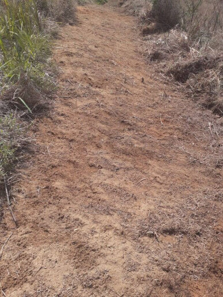 Imagem Chácara à Venda, 2 m² em Briet Catuçaba - São Luíz Do Paraitinga Imagem Chácara à Venda, 2 m² em Briet Catuçaba - São Luíz Do Paraitinga