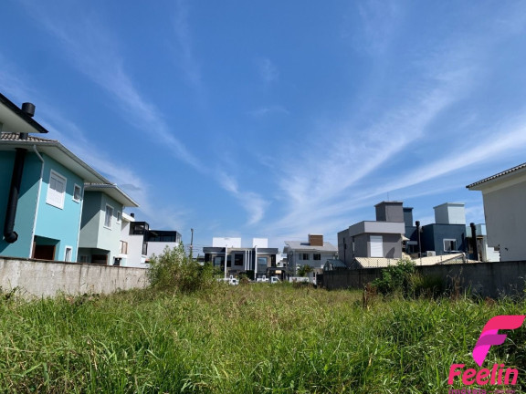 Imagem Terreno à Venda, 450 m² em Ribeirão Da Ilha - Florianópolis Imagem Terreno à Venda, 450 m² em Ribeirão Da Ilha - Florianópolis