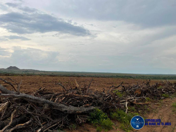Imagem Fazenda à Venda, 1 m² em Zona Rural - Goiatins Imagem Fazenda à Venda, 1 m² em Zona Rural - Goiatins