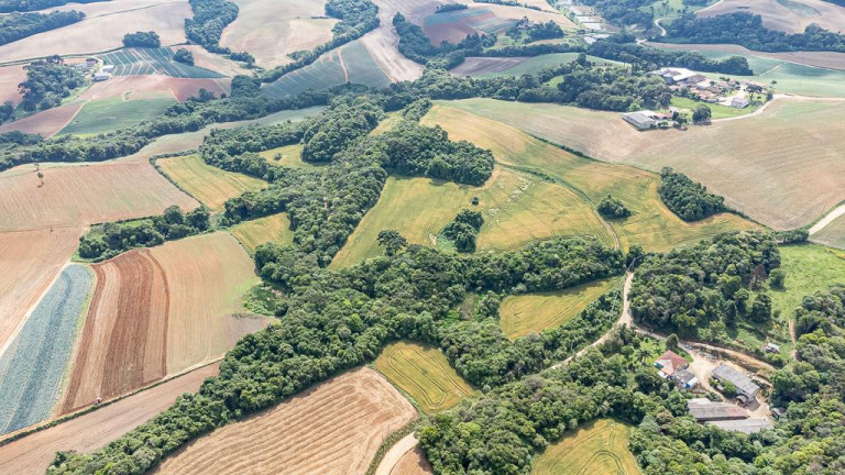 Imagem Terreno à Venda, 145.200 m² em Vila Dom Pedro Ii - Campo Largo Imagem Terreno à Venda, 145.200 m² em Vila Dom Pedro Ii - Campo Largo