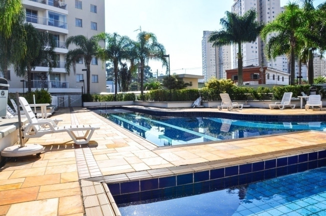 Imagem Apartamento com 3 Quartos à Venda, 72 m² em Granja Julieta - São Paulo Imagem Apartamento com 3 Quartos à Venda, 72 m² em Granja Julieta - São Paulo