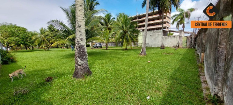 Imagem Terreno à Venda, 2.436 m² em Buraquinho - Lauro De Freitas Imagem Terreno à Venda, 2.436 m² em Buraquinho - Lauro De Freitas