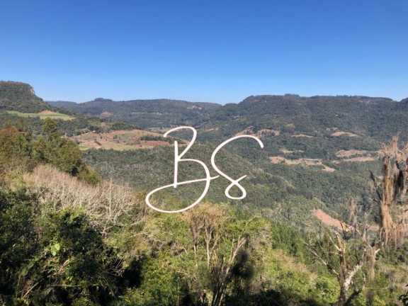 Imagem Imóvel com 3 Quartos à Venda, em Linha Brasil - Nova Petrópolis Imagem Imóvel com 3 Quartos à Venda, em Linha Brasil - Nova Petrópolis