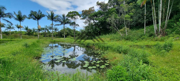 Imagem Chácara com 2 Quartos à Venda, 314 m² em Jardim Aguapeú - Itanhaém
