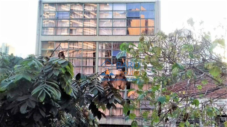 Apartamento com 1 Quarto à Venda, 52 m² em Santa Cecília - São Paulo