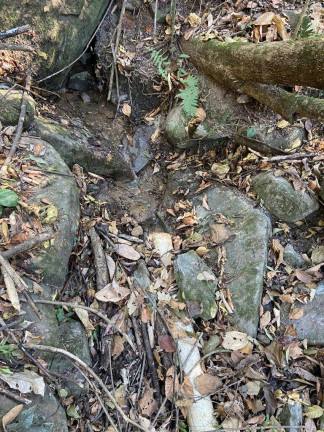 Imagem Terreno à Venda, 16 m² em Santa Terezinha De Minas - Itatiaiuçu Imagem Terreno à Venda, 16 m² em Santa Terezinha De Minas - Itatiaiuçu