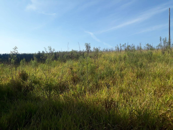 Imagem Terreno à Venda, 28.000 m² em Ortizes - Piedade Imagem Terreno à Venda, 28.000 m² em Ortizes - Piedade