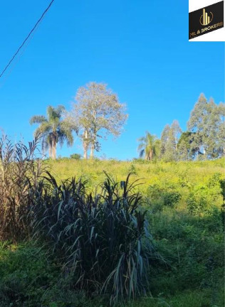 Imagem Imóvel com 4 Quartos à Venda, 46.000 m² em Freguesia Dos Laras - Campo Magro Imagem Imóvel com 4 Quartos à Venda, 46.000 m² em Freguesia Dos Laras - Campo Magro