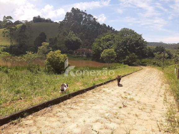 Imagem Fazenda à Venda, 600 m² em Pouso Alto - Natividade Da Serra Imagem Fazenda à Venda, 600 m² em Pouso Alto - Natividade Da Serra