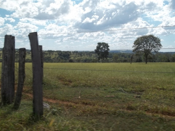 Imagem Fazenda à Venda, 222 m² em Zona Rural - Professor Jamil Imagem Fazenda à Venda, 222 m² em Zona Rural - Professor Jamil