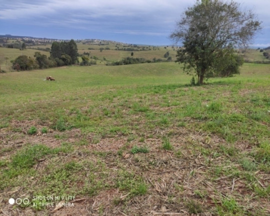 Imagem Chácara à Venda, em Vale Da Castelo - Pardinho Imagem Chácara à Venda, em Vale Da Castelo - Pardinho