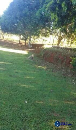 Imagem Chácara à Venda, 1 m² em Zona Rural - São Francisco De Goiás Imagem Chácara à Venda, 1 m² em Zona Rural - São Francisco De Goiás