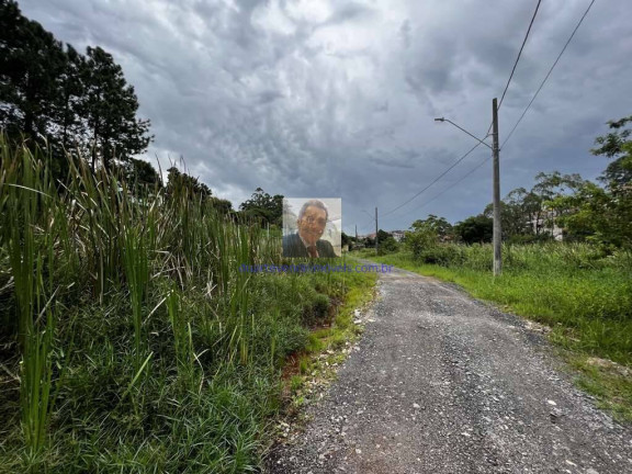 Imagem Terreno à Venda, 1.420 m² em Chácara Santa Lúcia - Carapicuíba Imagem Terreno à Venda, 1.420 m² em Chácara Santa Lúcia - Carapicuíba