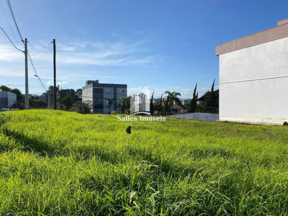 Imagem Terreno à Venda, 435 m² em Bela Vista - Caxias Do Sul Imagem Terreno à Venda, 435 m² em Bela Vista - Caxias Do Sul