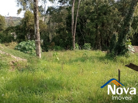 Imagem Imóvel à Venda, 360 m² em Piá - Nova Petrópolis Imagem Imóvel à Venda, 360 m² em Piá - Nova Petrópolis