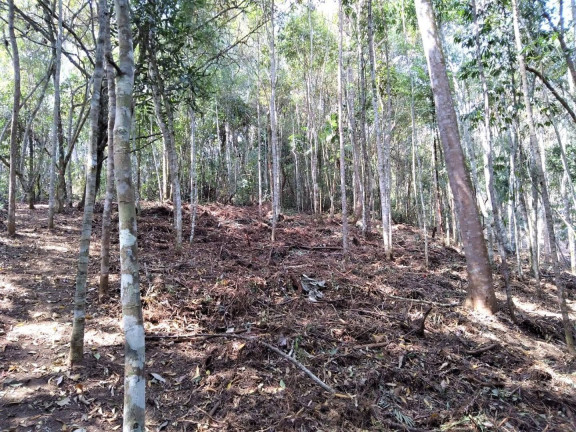 Imagem Terreno à Venda, 4.685 m² em Vargem Grande - Teresópolis Imagem Terreno à Venda, 4.685 m² em Vargem Grande - Teresópolis