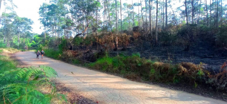 Imagem Imóvel à Venda, 266.200 m² em Pedra Vermelha (terra Preta) - Mairiporã Imagem Imóvel à Venda, 266.200 m² em Pedra Vermelha (terra Preta) - Mairiporã