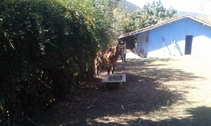 Imagem Chácara com 3 Quartos à Venda, 300 m² em Canaã - Jambeiro Imagem Chácara com 3 Quartos à Venda, 300 m² em Canaã - Jambeiro