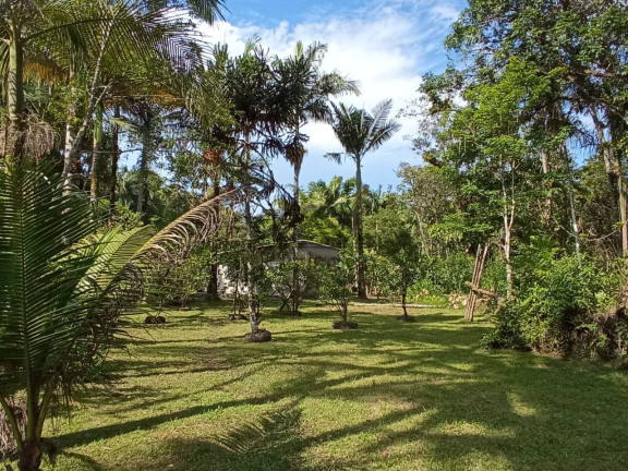 Imagem Chácara com 4 Quartos à Venda, 5.000 m² em Jardim Aguapeú - Itanhaém Imagem Chácara com 4 Quartos à Venda, 5.000 m² em Jardim Aguapeú - Itanhaém