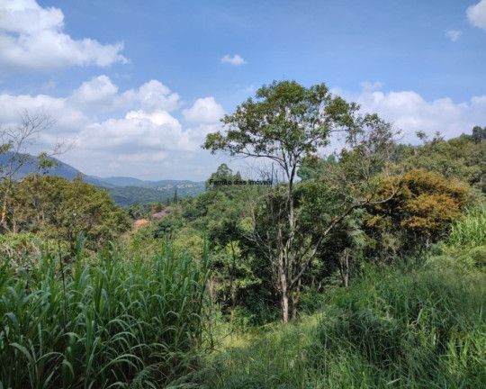 Imagem Chácara com 3 Quartos à Venda, 8.000 m² em Terra Preta (terra Preta) - Mairiporã Imagem Chácara com 3 Quartos à Venda, 8.000 m² em Terra Preta (terra Preta) - Mairiporã