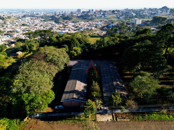 Imagem Terreno à Venda, 4.699 m² em Santa Cruz - Guarapuava Imagem Terreno à Venda, 4.699 m² em Santa Cruz - Guarapuava