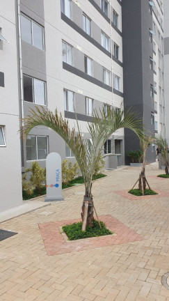 Imagem Apartamento com 2 Quartos para Alugar, 35 m² em Ipiranga - São Paulo Imagem Apartamento com 2 Quartos para Alugar, 35 m² em Ipiranga - São Paulo