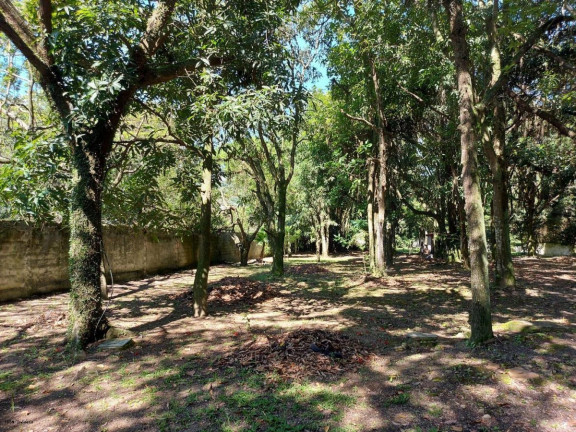 Imagem Casa com 5 Quartos à Venda, 1.100 m² em Barra Da Tijuca - Rio De Janeiro Imagem Casa com 5 Quartos à Venda, 1.100 m² em Barra Da Tijuca - Rio De Janeiro