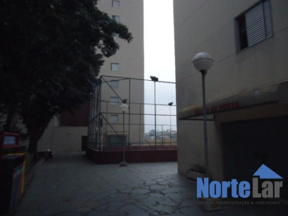 Imagem Apartamento com 2 Quartos à Venda, 60 m² em Parque São Luís - São Paulo Imagem Apartamento com 2 Quartos à Venda, 60 m² em Parque São Luís - São Paulo