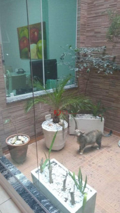 Imagem Casa com 3 Quartos à Venda, 150 m² em Brooklin Paulista - São Paulo Imagem Casa com 3 Quartos à Venda, 150 m² em Brooklin Paulista - São Paulo