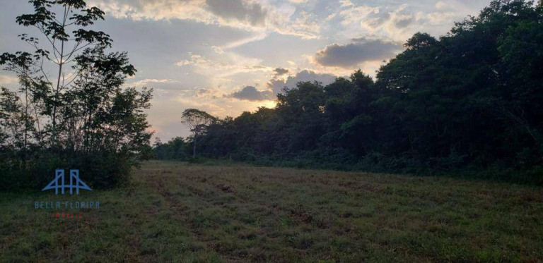 Imagem Fazenda à Venda, 2.190.000 m² em Alça Viaria - Acará Imagem Fazenda à Venda, 2.190.000 m² em Alça Viaria - Acará
