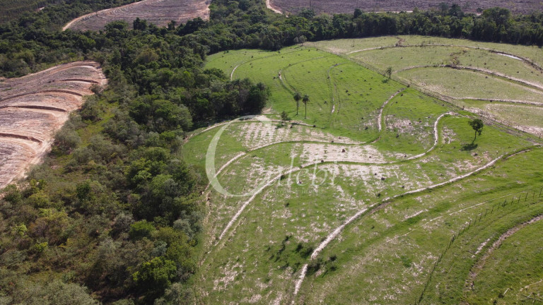 Imagem Chácara com 1 Quarto à Venda, 6 m² em área Rural De Artur Nogueira - Artur Nogueira Imagem Chácara com 1 Quarto à Venda, 6 m² em área Rural De Artur Nogueira - Artur Nogueira