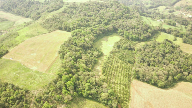 Imagem Terreno à Venda, 242.000 m² em Rural - Concórdia Imagem Terreno à Venda, 242.000 m² em Rural - Concórdia