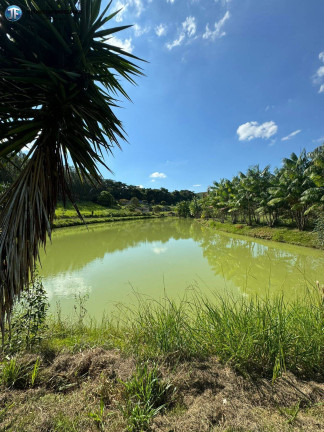 Imagem Chácara com 6 Quartos à Venda, 55.000 m² em Belo Oriente Imagem Chácara com 6 Quartos à Venda, 55.000 m² em Belo Oriente