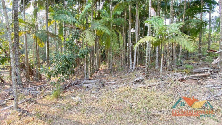 Imagem Terreno à Venda, 5.300 m² em Espírito Santo - Paraibuna