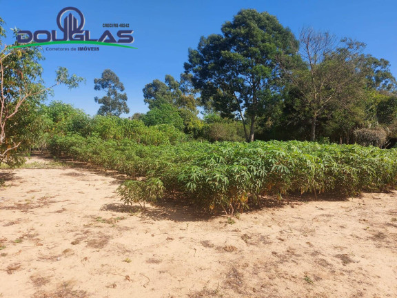 Imagem Chácara com 2 Quartos à Venda, 11.000 m² em Viamão