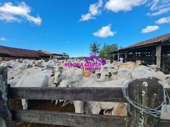 Imagem Fazenda à Venda, 2 m² em Banqueiros - Araruama