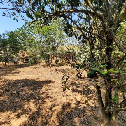 Imagem Chácara à Venda, 6.000 m² Imagem Chácara à Venda, 6.000 m²