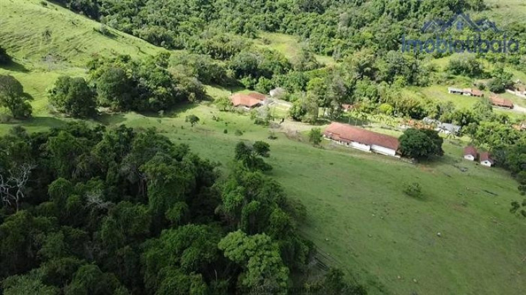 Imagem Chácara com 10 Quartos à Venda, 245.000 m² em Centro - Piracaia