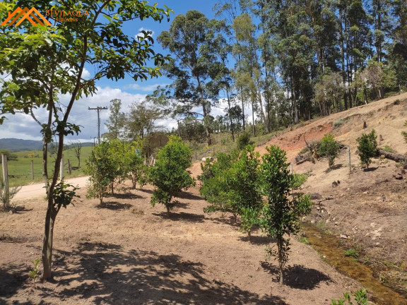 Imagem Imóvel com 3 Quartos à Venda,  em Aratingauba - Forquilhinha