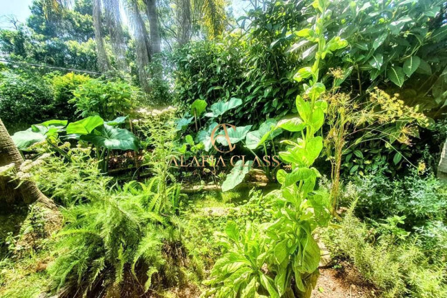 Imagem Casa com 5 Quartos à Venda, 1.500 m² em Nova Fazendinha - Carapicuíba Imagem Casa com 5 Quartos à Venda, 1.500 m² em Nova Fazendinha - Carapicuíba