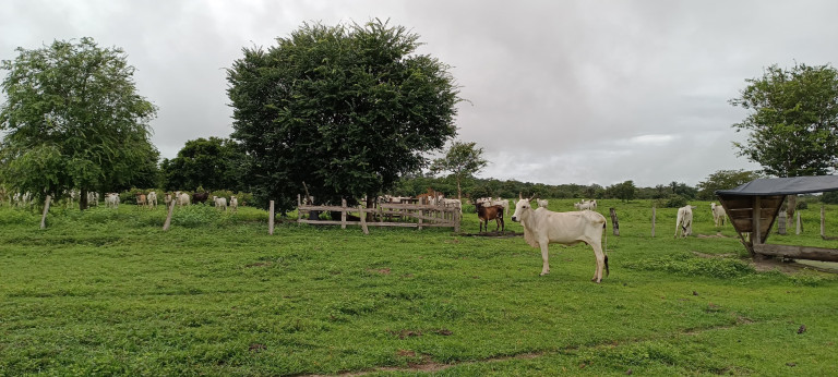 Imagem Chácara à Venda, 884 m² em Centro - Paranatinga Imagem Chácara à Venda, 884 m² em Centro - Paranatinga