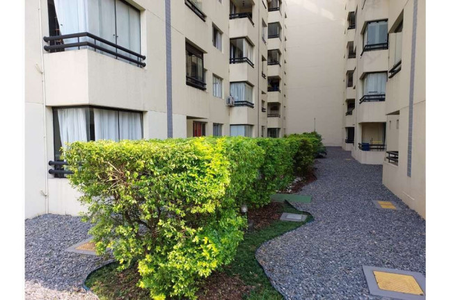 Imagem Apartamento com 1 Quarto à Venda, 35 m² em Jabaquara - São Paulo Imagem Apartamento com 1 Quarto à Venda, 35 m² em Jabaquara - São Paulo