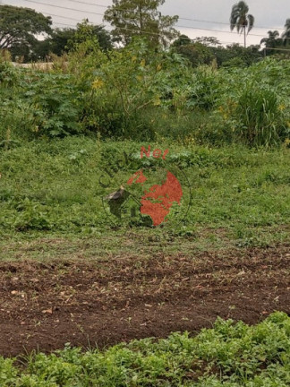 Imagem Terreno à Venda, em Jardim Mimosa - Suzano Imagem Terreno à Venda, em Jardim Mimosa - Suzano