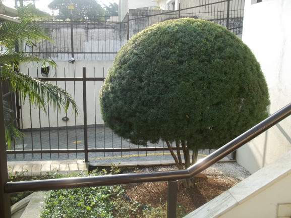 Imagem Imóvel com 2 Quartos à Venda, 60 m² em Jardim Da Saúde - São Paulo Imagem Imóvel com 2 Quartos à Venda, 60 m² em Jardim Da Saúde - São Paulo